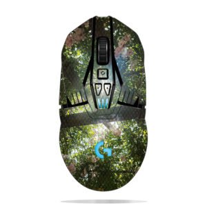 Rose Flowers with Sunlight