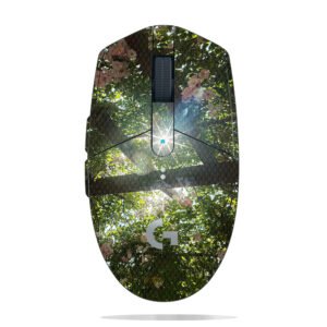 Rose Flowers with Sunlight