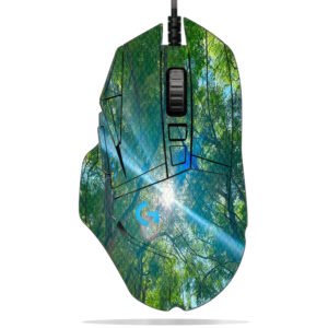 Sunlight Through Trees