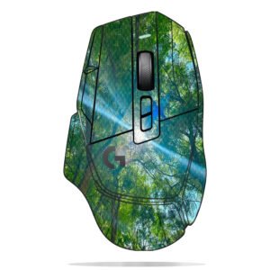 Sunlight Through Trees