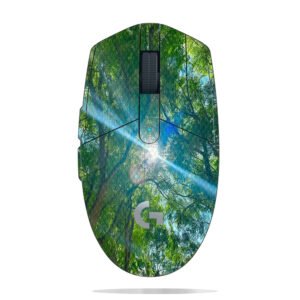 Sunlight Through Trees