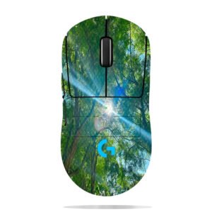 Sunlight Through Trees