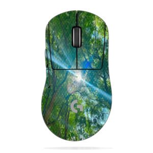 Sunlight Through Trees